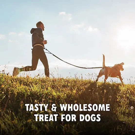 4health Turkey Flavor Jerky Tenders Dog Treats, 24 oz.