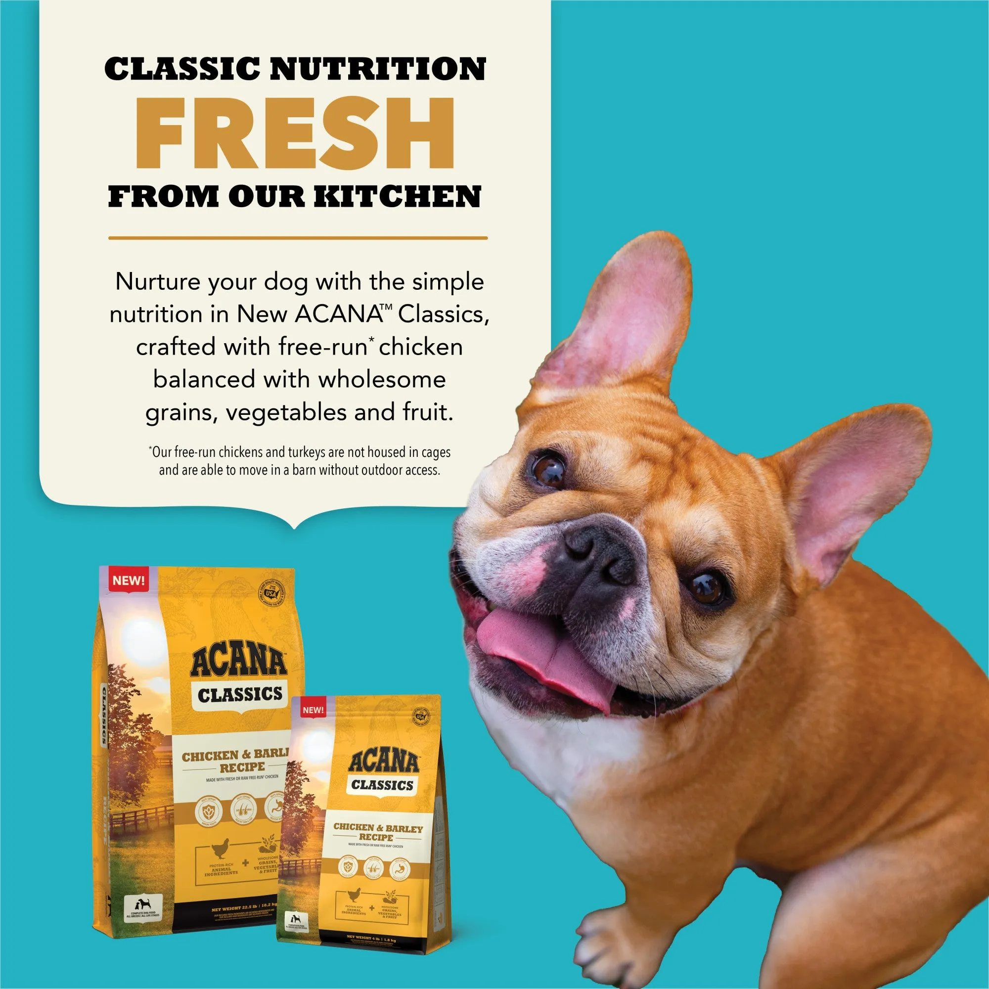 ACANA Classics Dry Dog Food Chicken & Barley Recipe 4lb