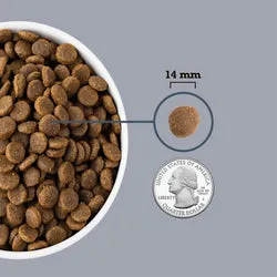 ACANA Light & Fit Dry Dog Food