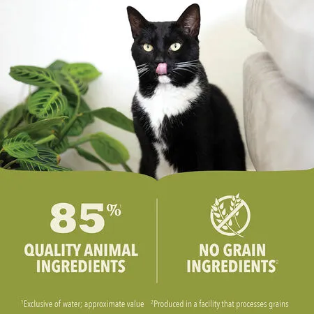 ACANA Premium Pate Tuna & Chicken Recipe Canned Cat Food