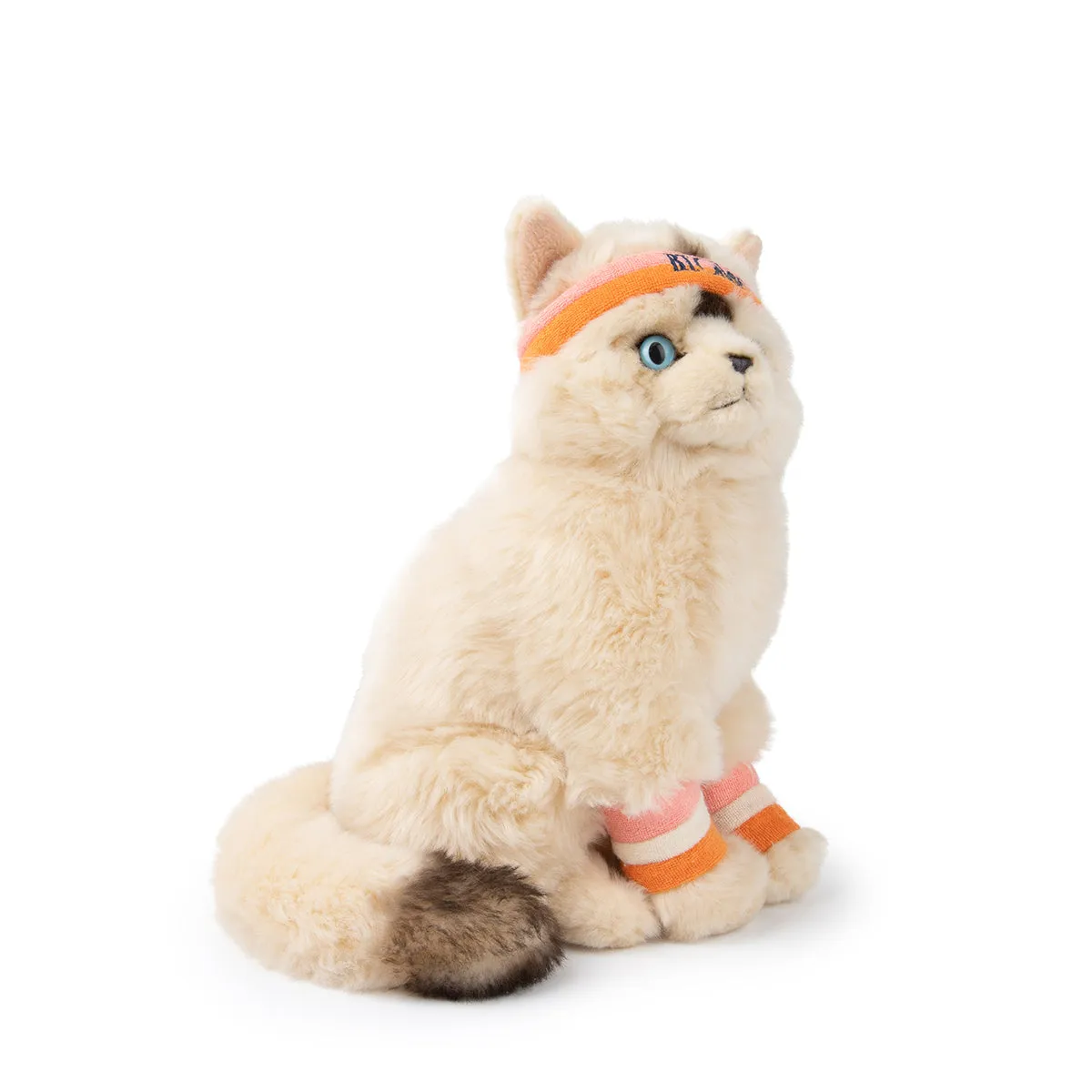 B.T. Chaps  Dolly The Ragdoll - 32cm - 12.5