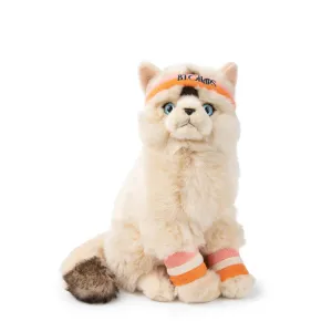 B.T. Chaps  Dolly The Ragdoll - 32cm - 12.5