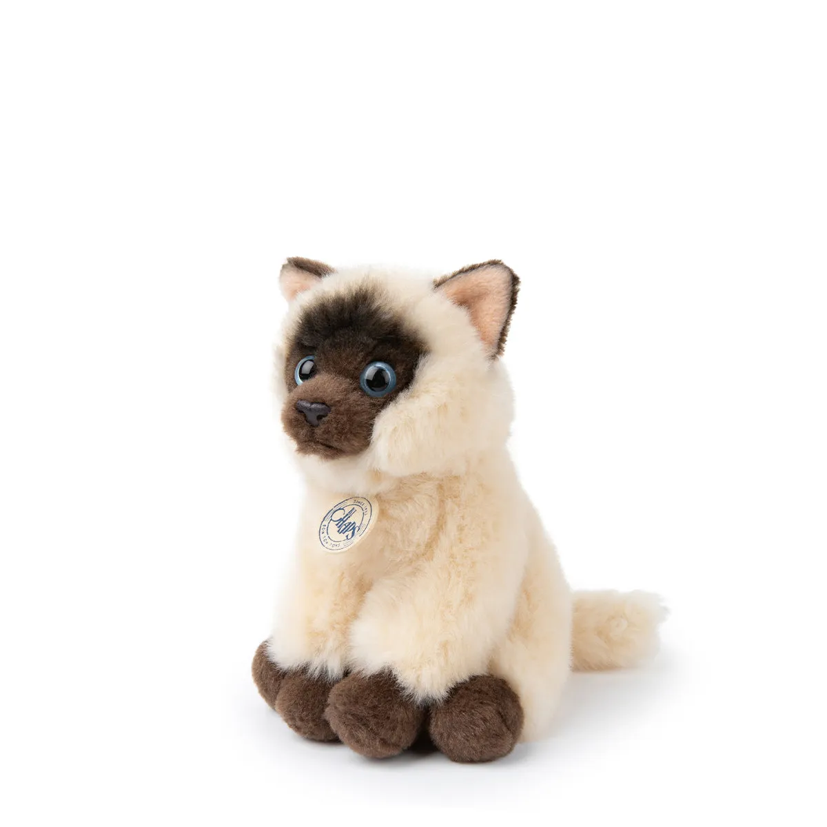 B.T. Chaps  Eddie The Siamese in Giftbox - 17cm - 6.5