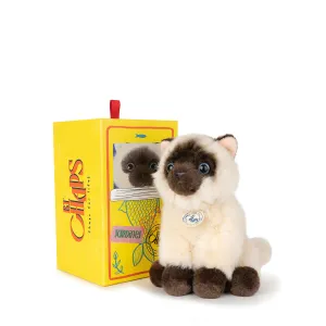 B.T. Chaps  Eddie The Siamese in Giftbox - 17cm - 6.5
