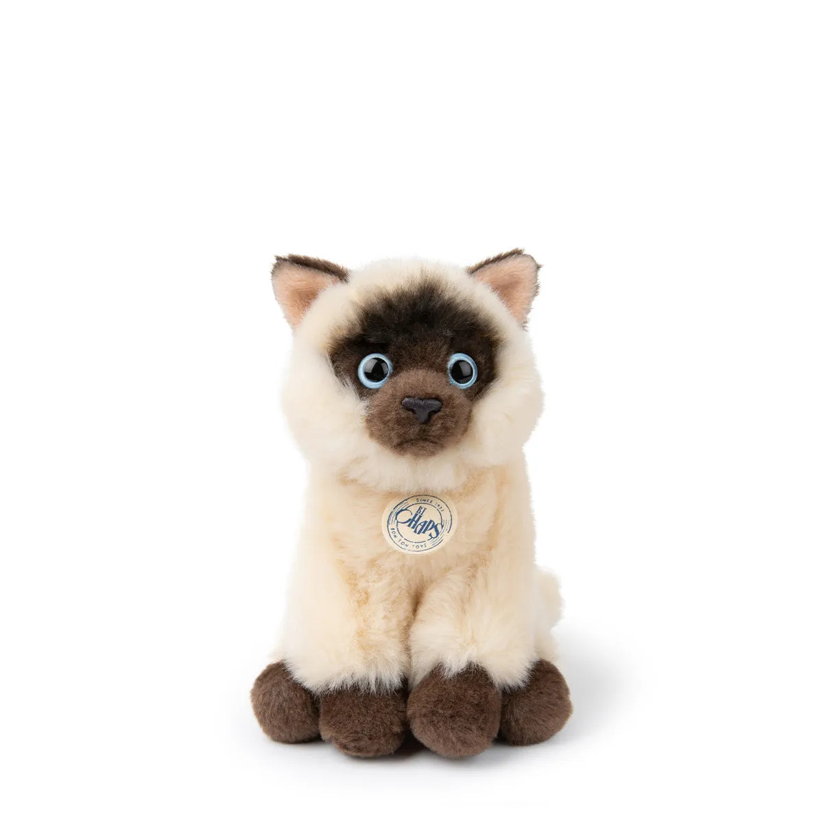 B.T. Chaps  Eddie The Siamese in Giftbox - 17cm - 6.5