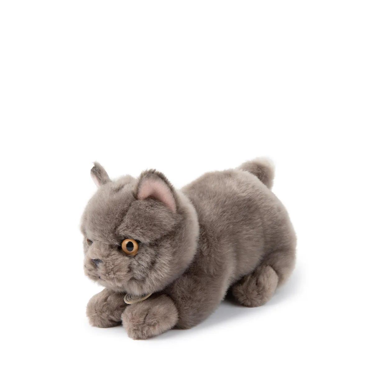 B.T. Chaps  Freddy The British Shorthair in Giftbox - 20cm - 8