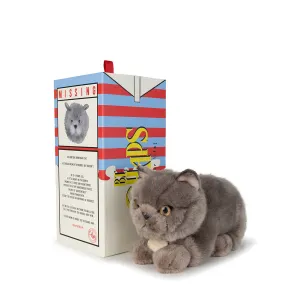 B.T. Chaps  Freddy The British Shorthair in Giftbox - 20cm - 8
