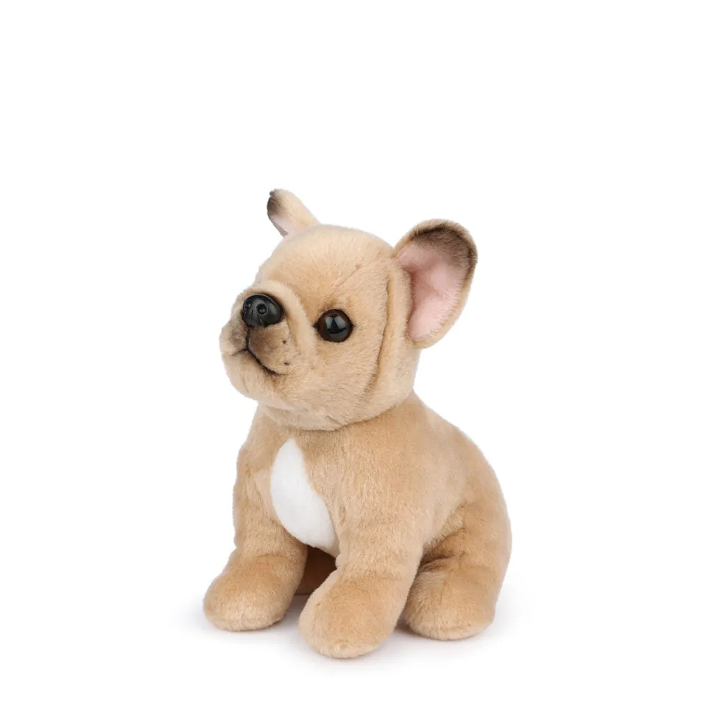 B.T. Chaps  Philippe The French Bulldog - 17cm - 6.5