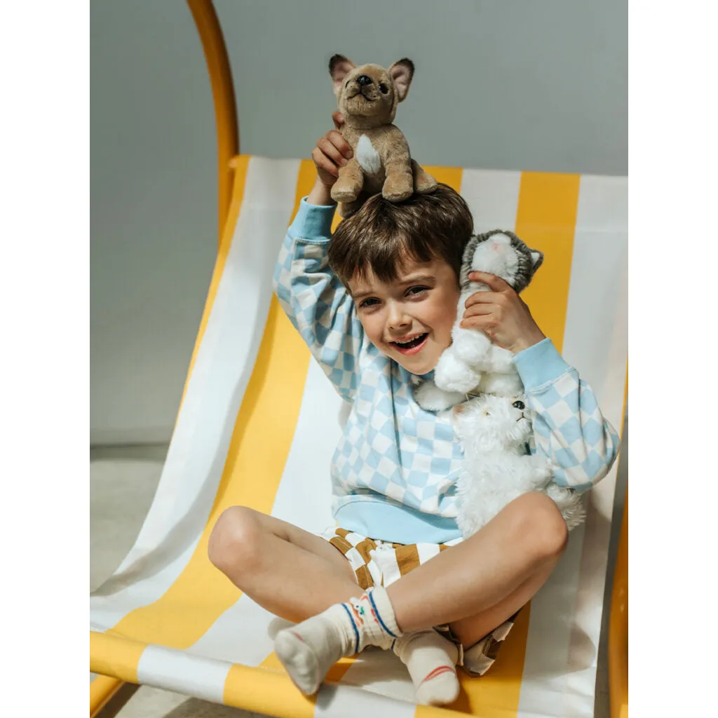 B.T. Chaps  Philippe The French Bulldog - 17cm - 6.5