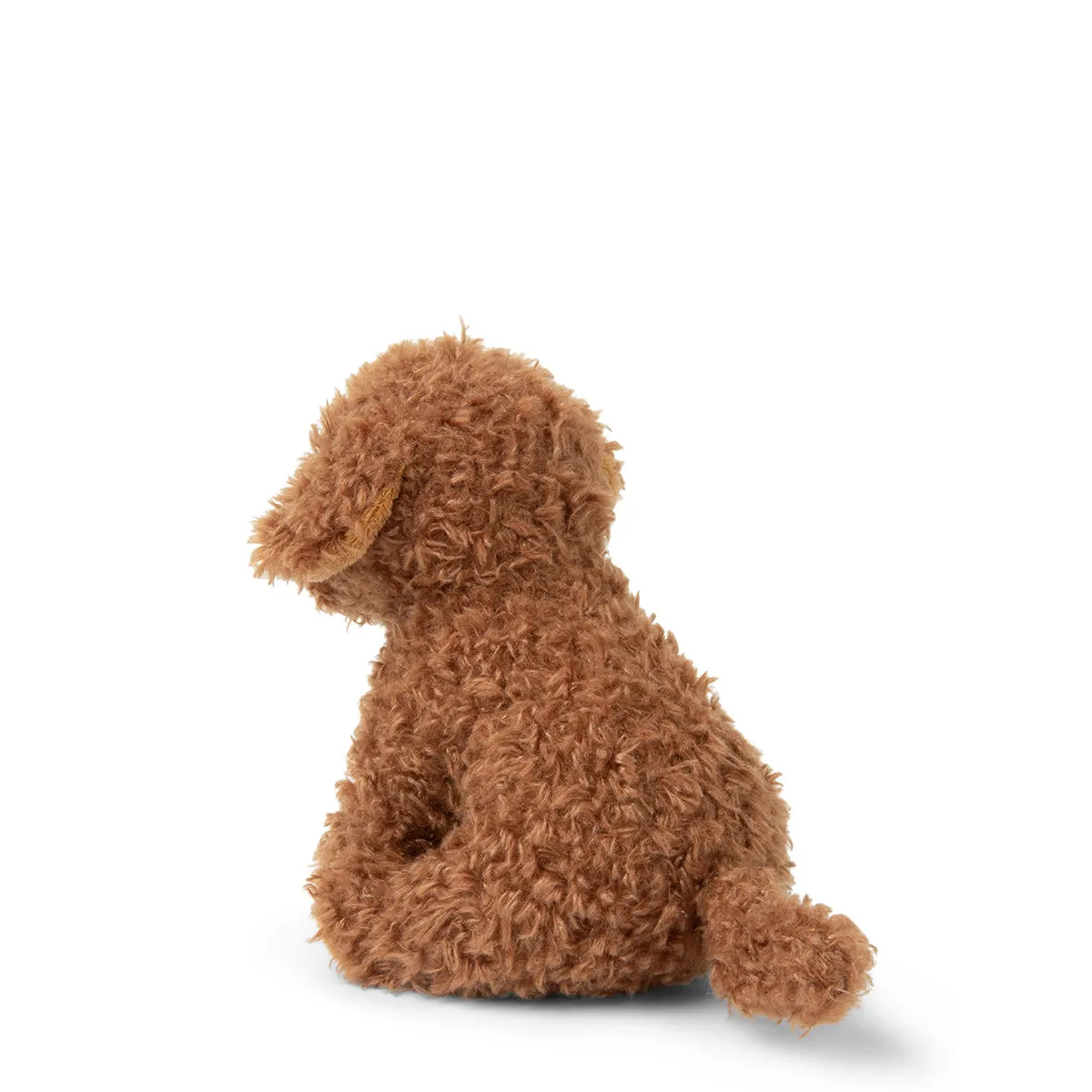B.T. Chaps  Stacy The Labradoodle in Giftbox - 17cm - 6.5
