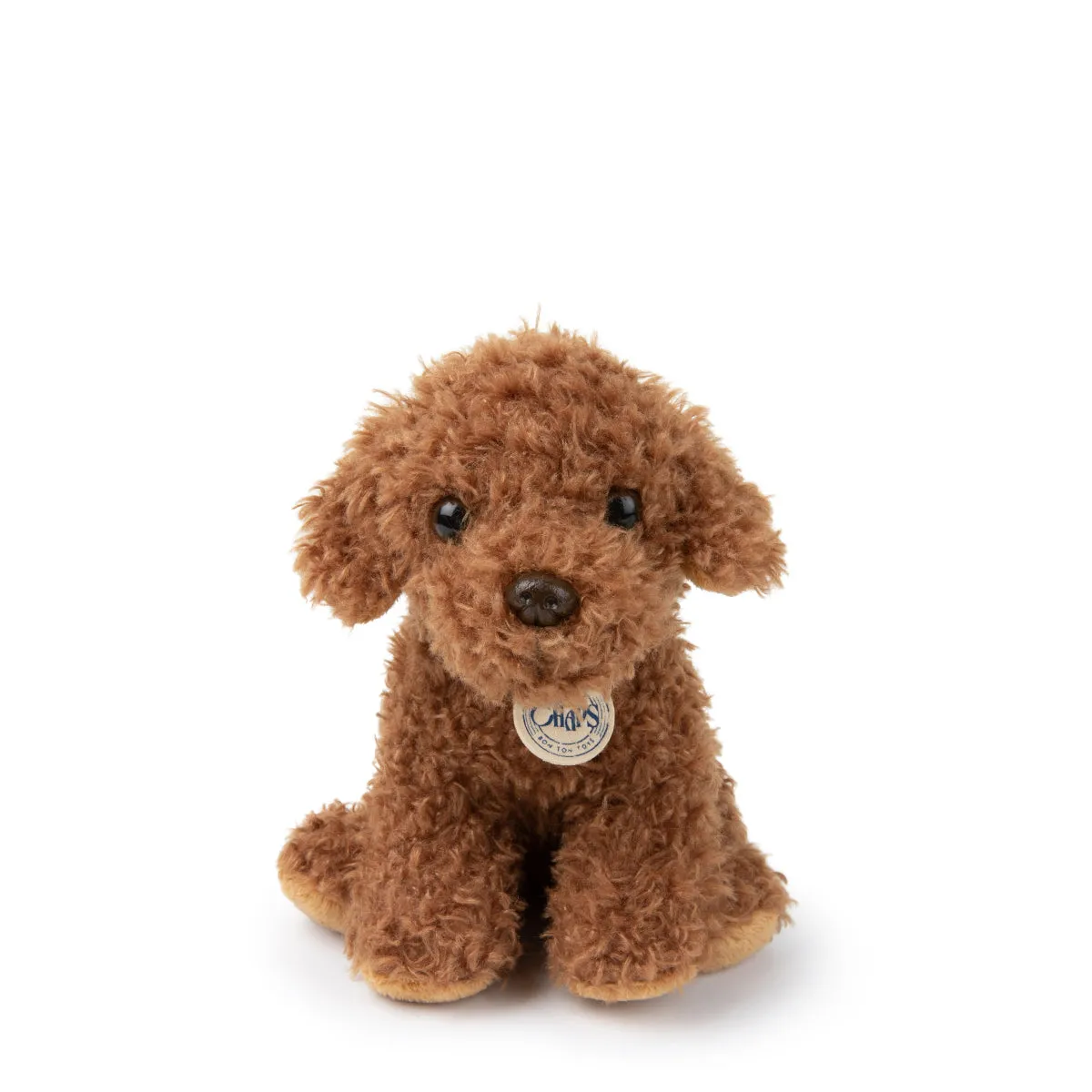 B.T. Chaps  Stacy The Labradoodle in Giftbox - 17cm - 6.5