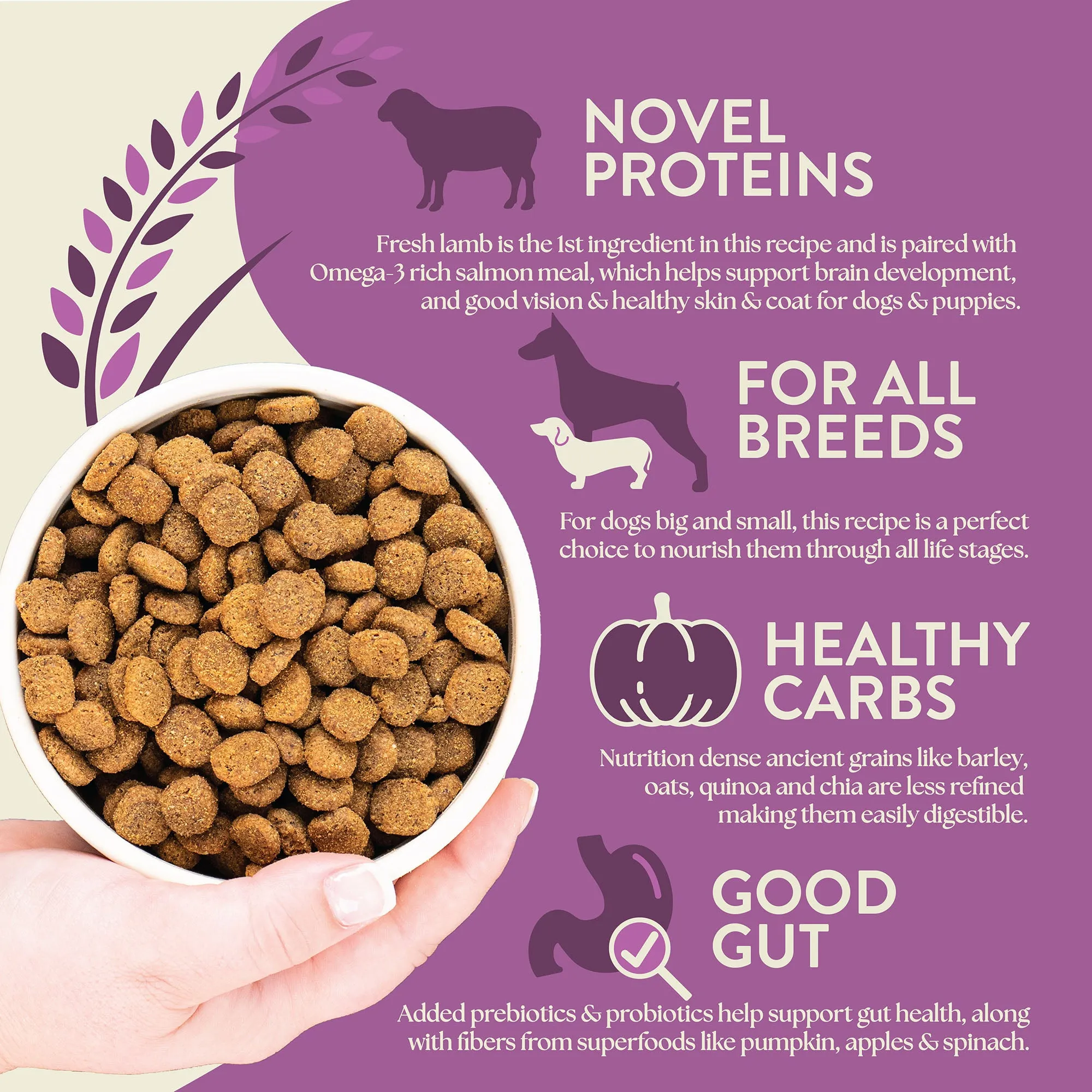 Earthborn Holistic Unrefined Roasted Lamb with Ancient Grains & Superfoods Dry Dog Food 25 lb