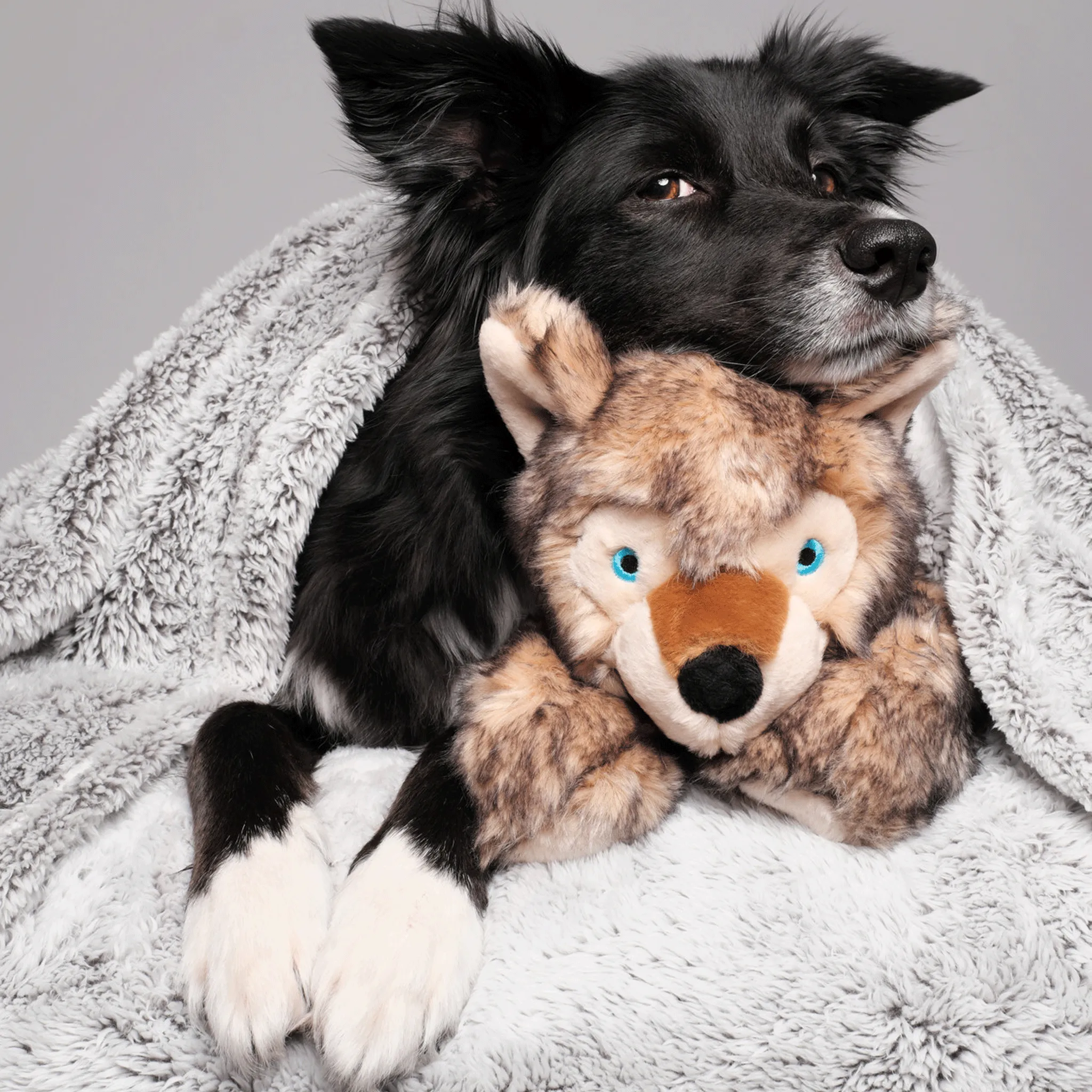 Fluff & Tuff Lobo Wolf Pup Brown Dog Toys