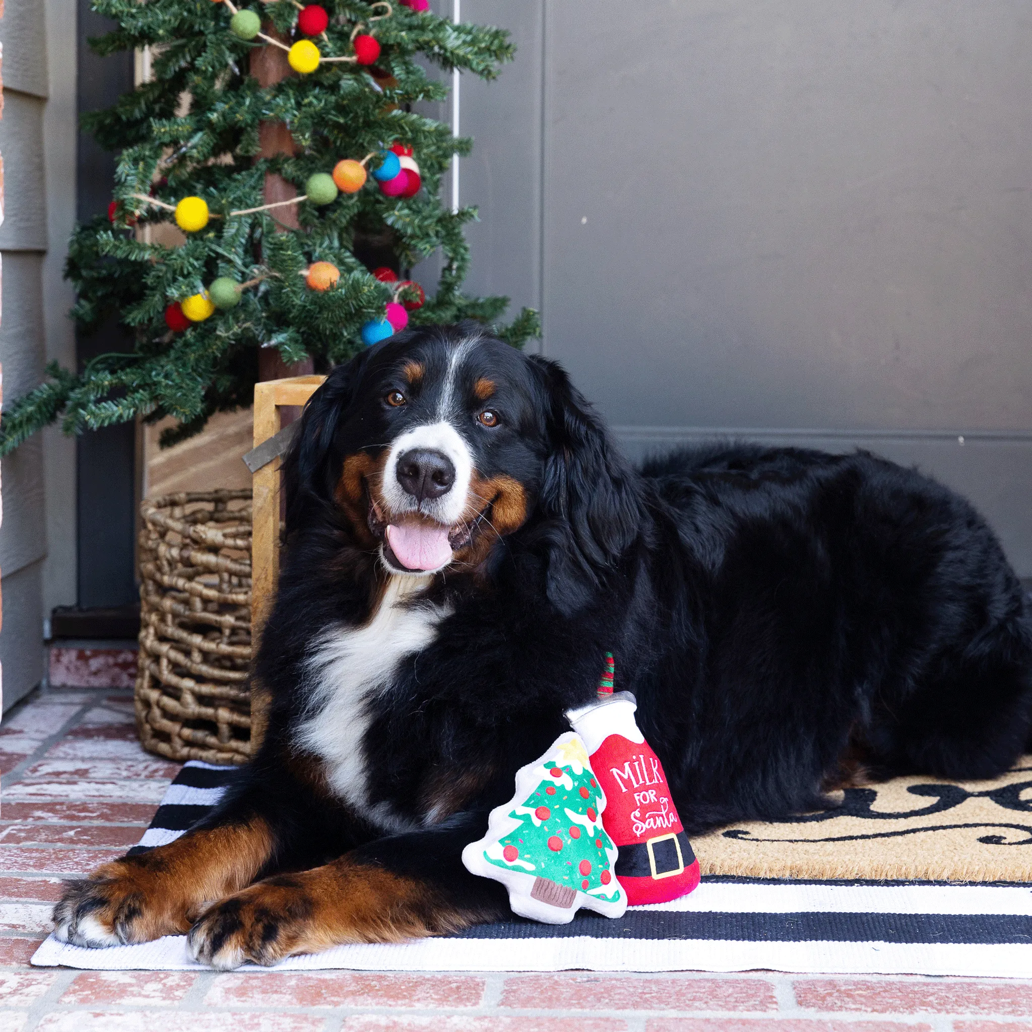 Fringe Santa Ready Red & Green Dog Toys