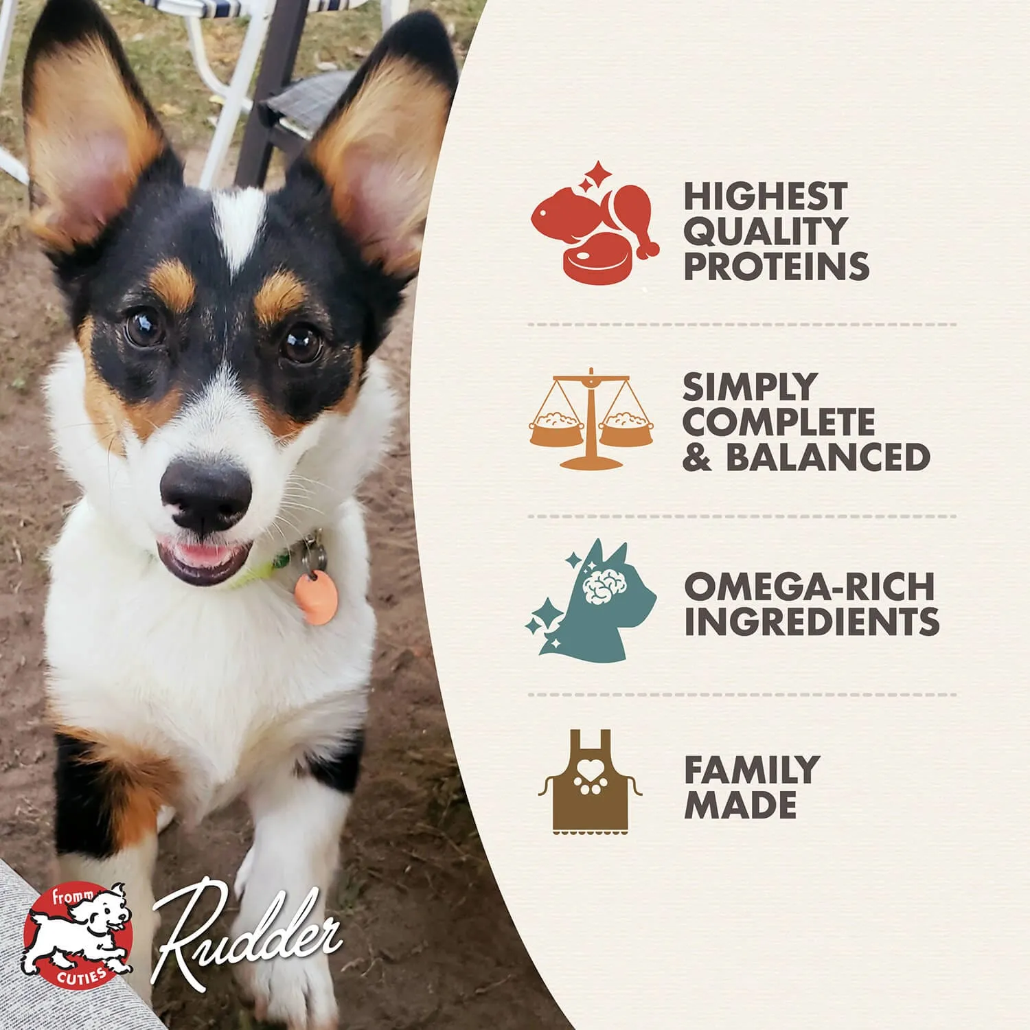 Fromm Classic Puppy Chicken & Salmon Pate Wet Dog Food