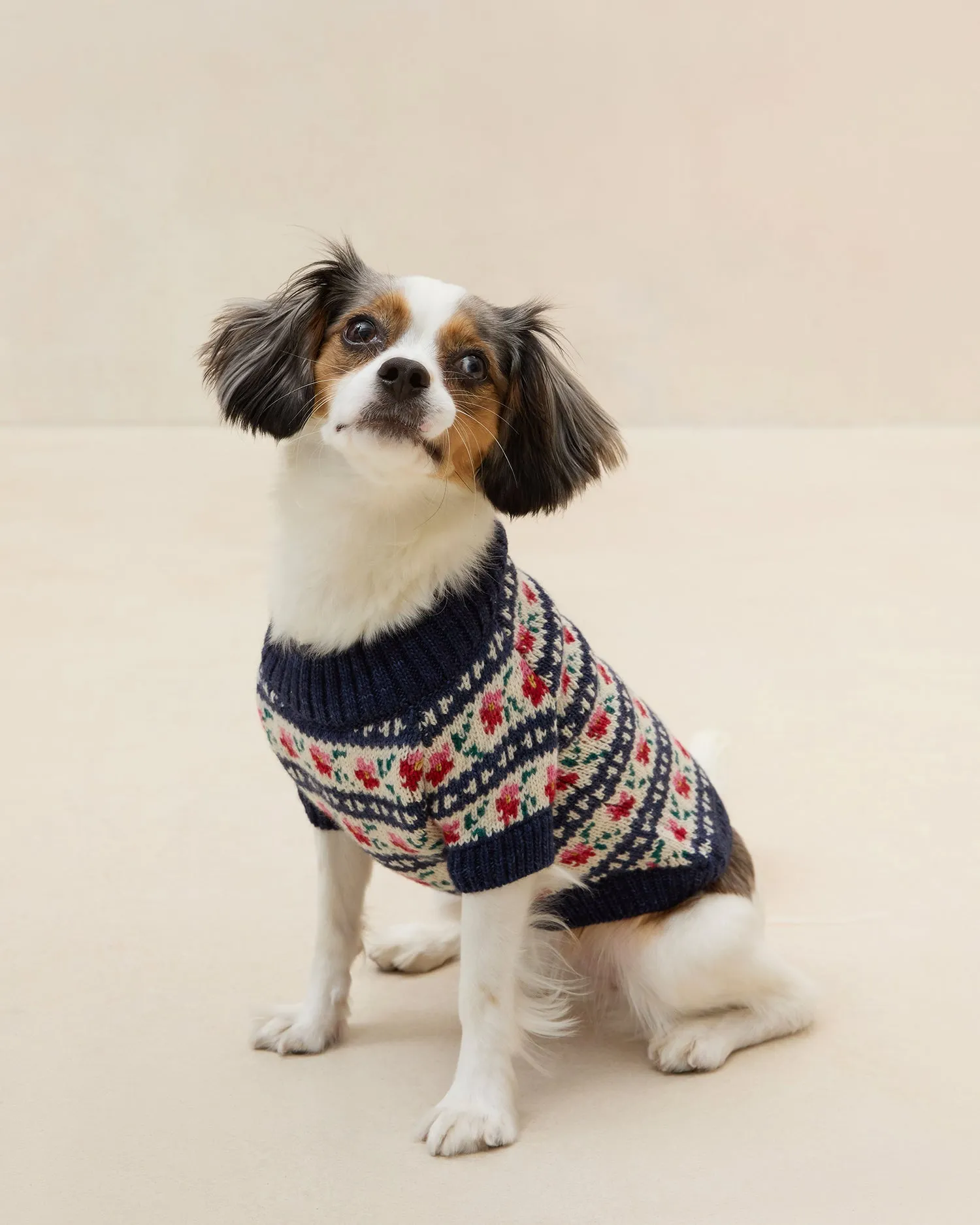 Intarsia Dog Sweater