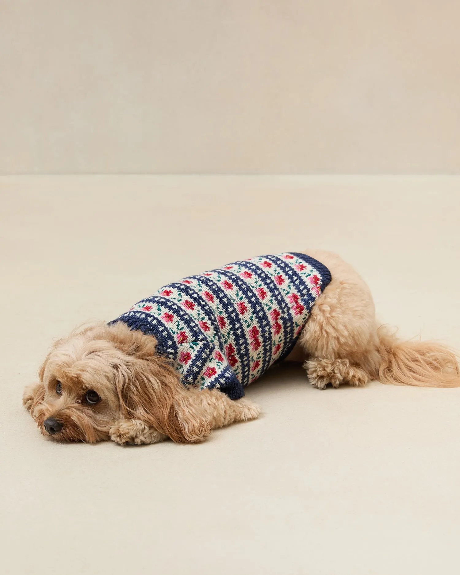 Intarsia Dog Sweater