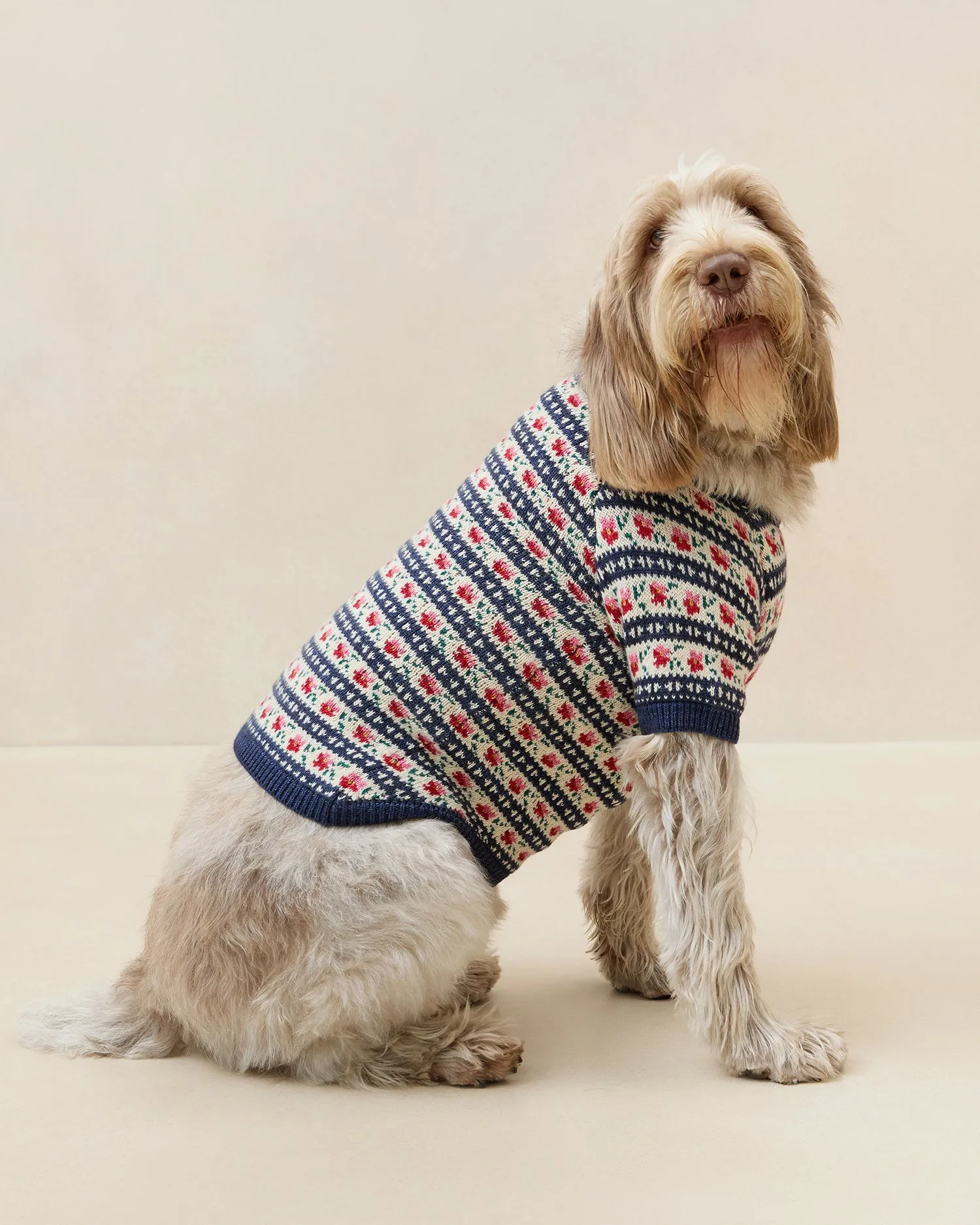 Intarsia Dog Sweater