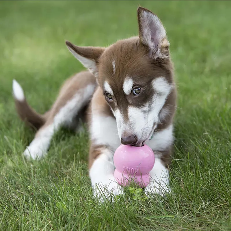 KONG Easy Treat® Puppy 8 oz Dog Treat