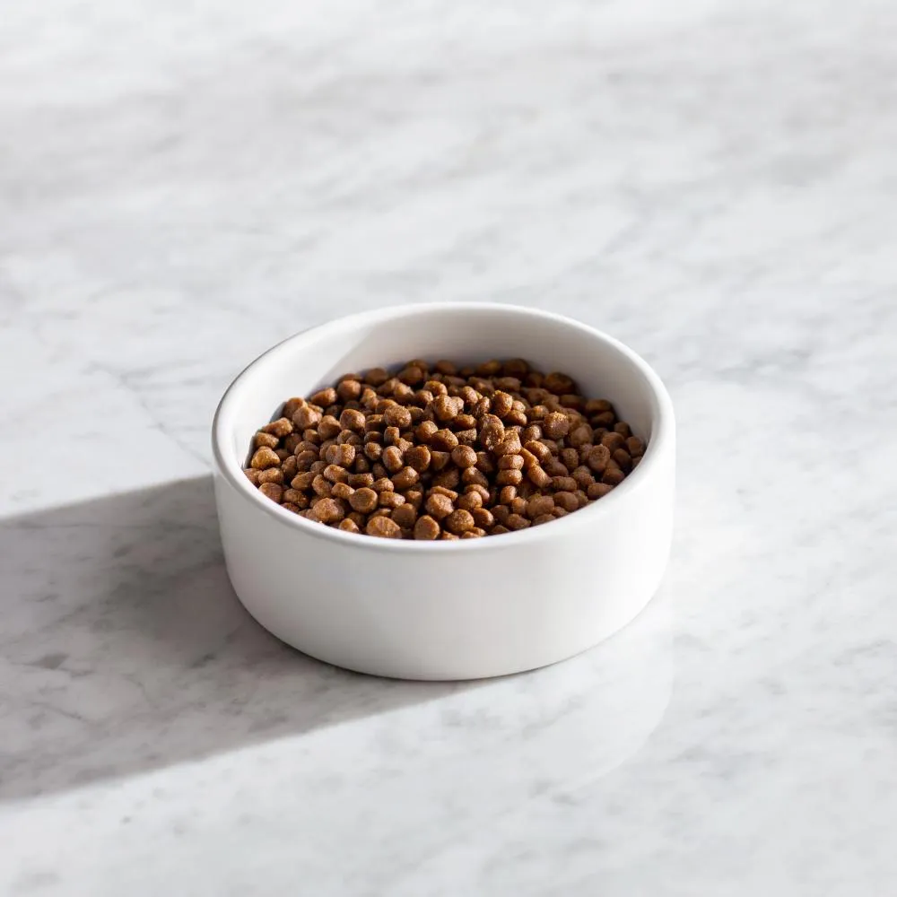 Natural Balance L.I.D. Limited Ingredient Diets High Protein Salmon Recipe Dry Cat Food