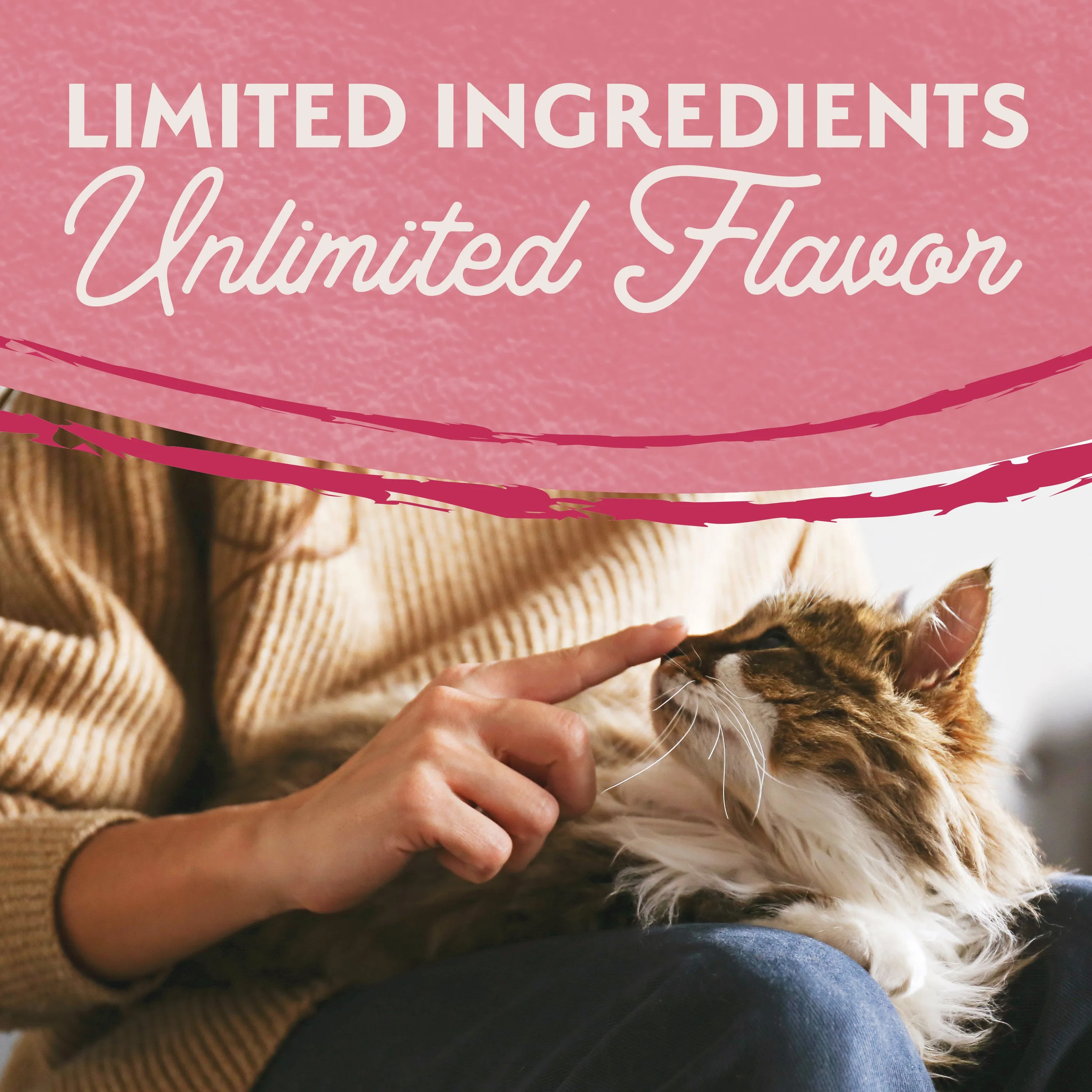 Natural Balance® Limited Ingredient Grain Free Salmon & Green Pea Recipe Cat Dry