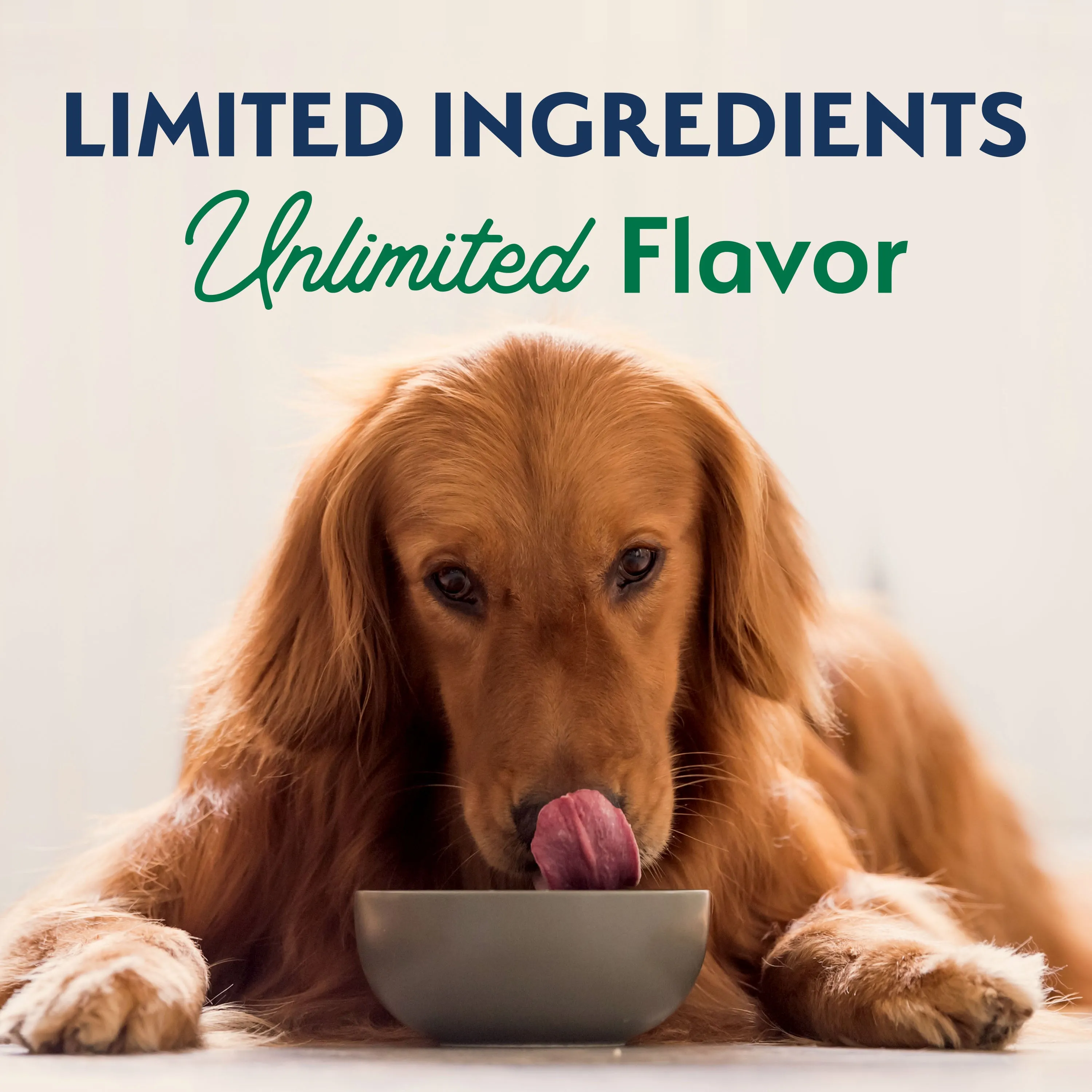 Natural Balance® Limited Ingredient Lamb & Brown Rice Recipe Dog Dry