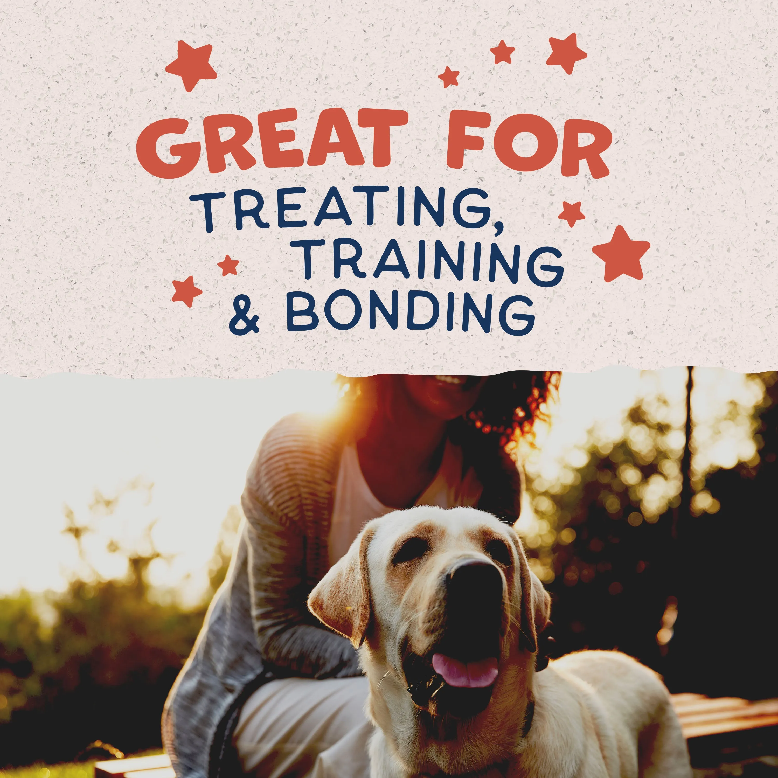 Natural Balance® Rewards Crunchy Biscuits With Real Salmon Dog Treat