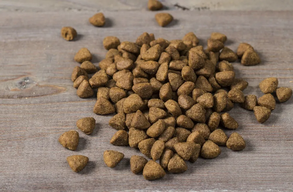 Nulo FreeStyle Limited  Grain Free Turkey Recipe Puppy & Adult Dry Dog Food