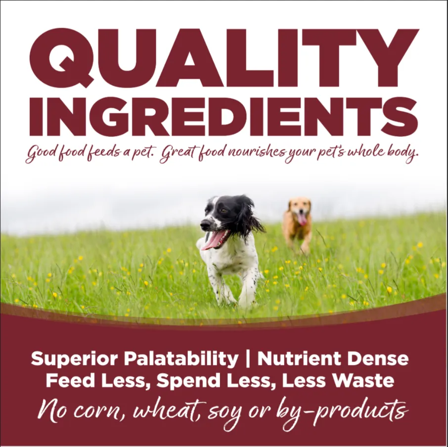 Nutrisource Adult Beef and Rice Dry Dog Food