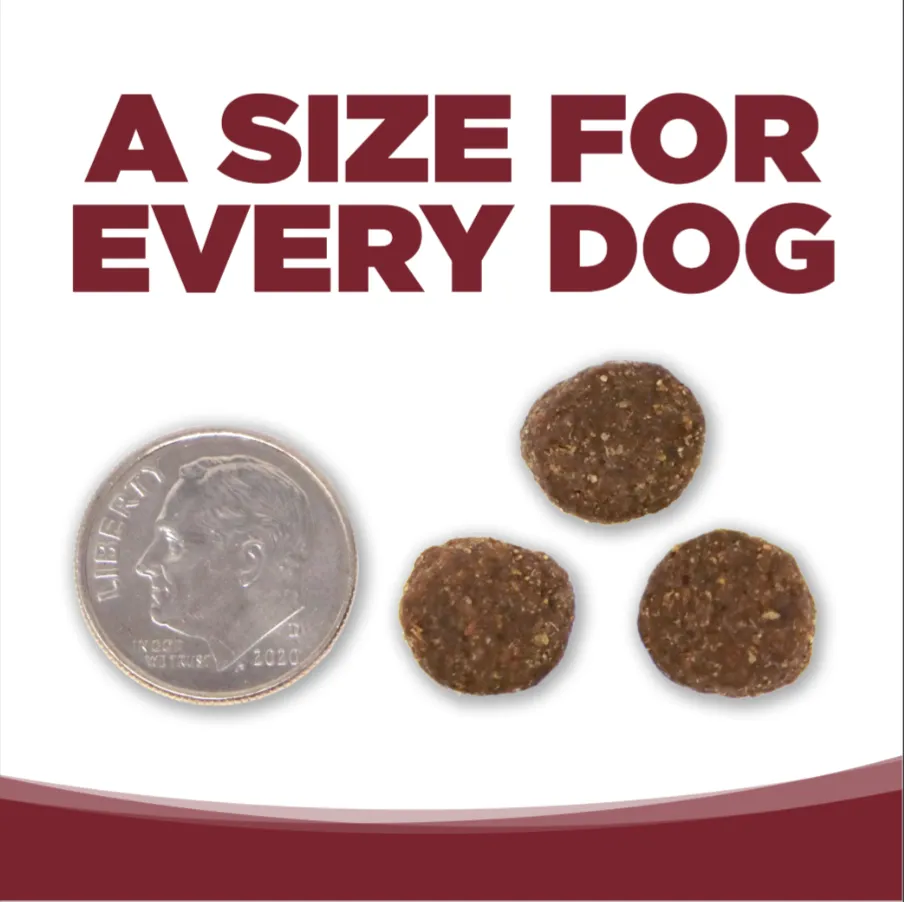 Nutrisource Adult Beef and Rice Dry Dog Food