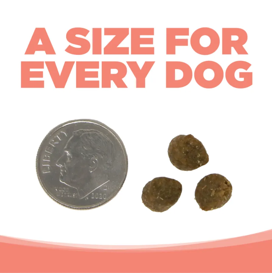 Nutrisource Grain Free Adult Small Bites Seafood Select Dry Dog Food