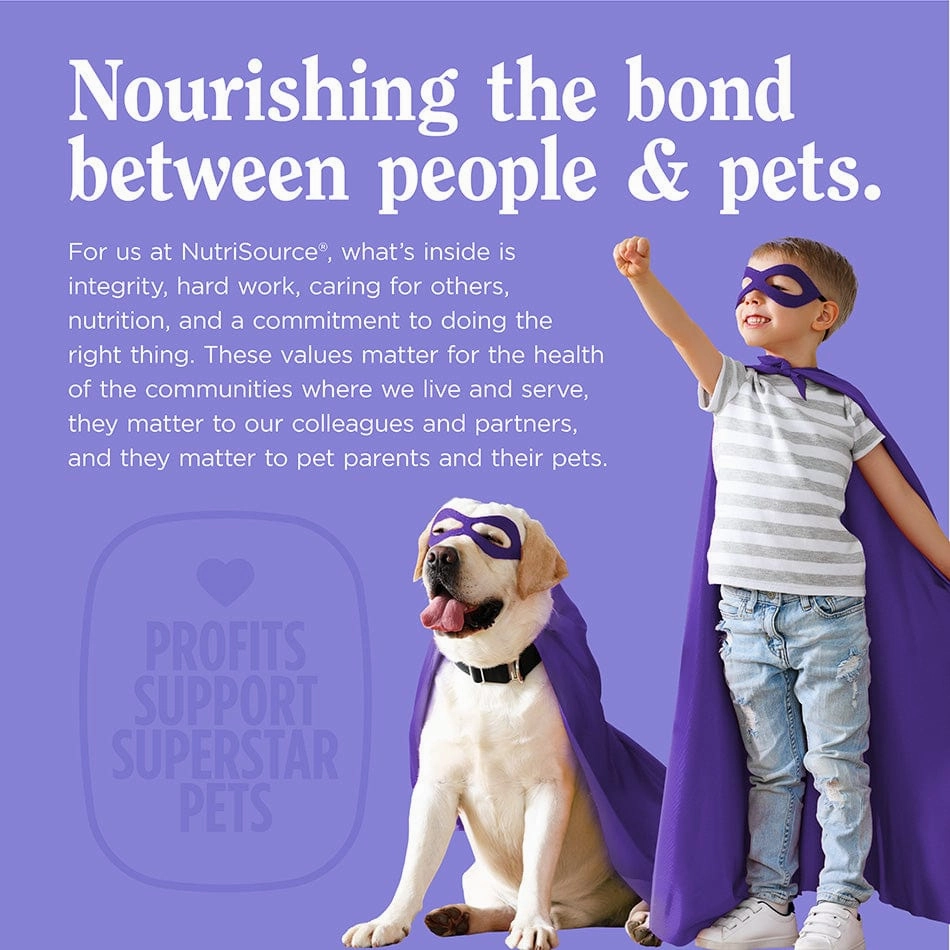 NutriSource Big Bites Grain Free Beef Dog Treats