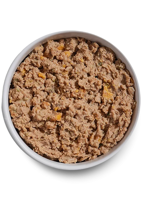Open Farm Grain Free Harvest Chicken Pate Wet Dog Food