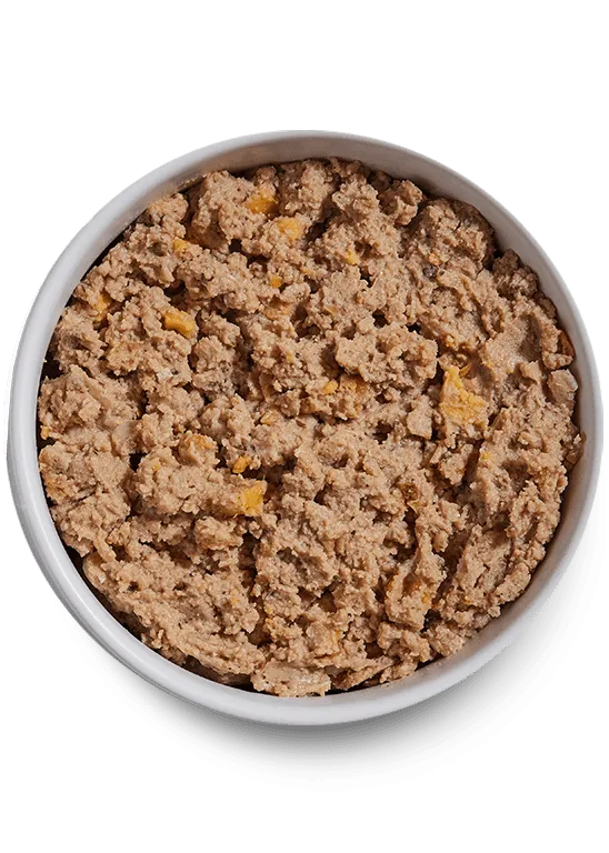 Open Farm Grain Free Harvest Chicken Pate Wet Dog Food