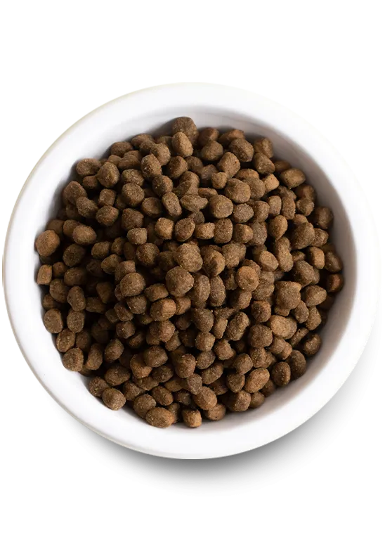 Open Farm Kind Earth Premium Insect Kibble Recipe Dry Dog Food