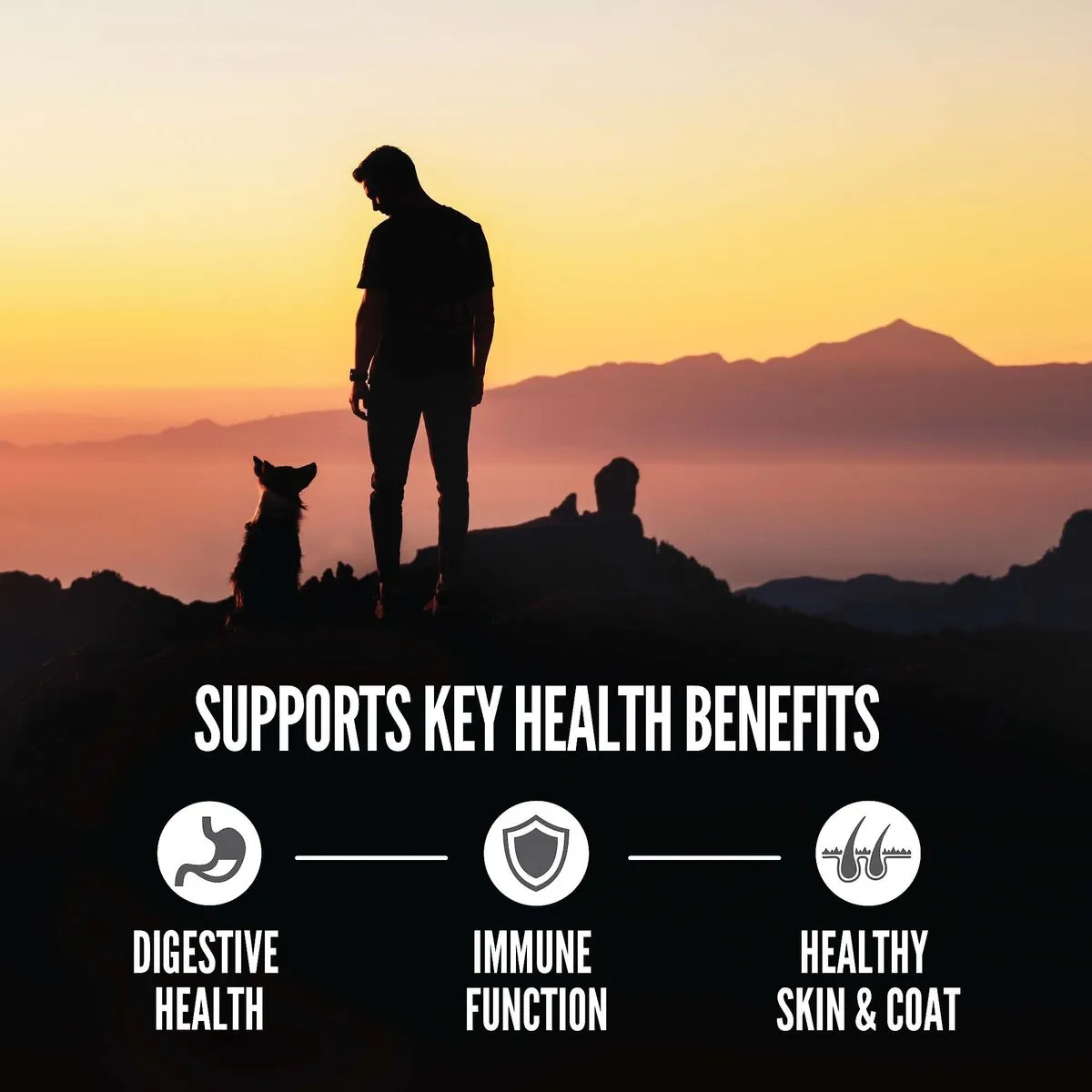 Orijen Amazing Grains Regional Red Dry Dog Food