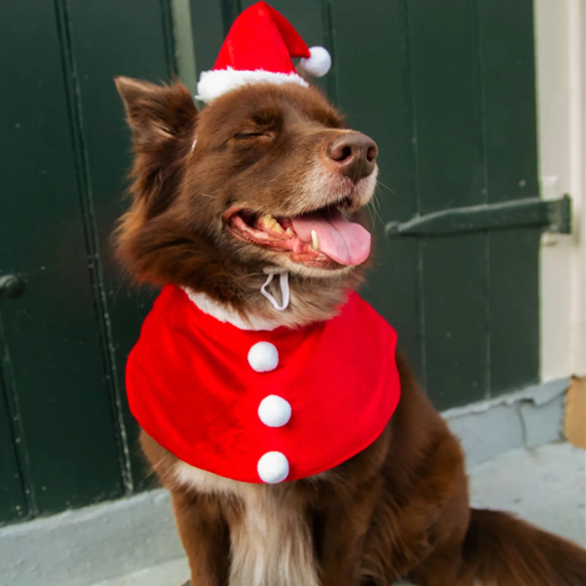 Pet Krewe Santa Hat and Collar Pet Costume