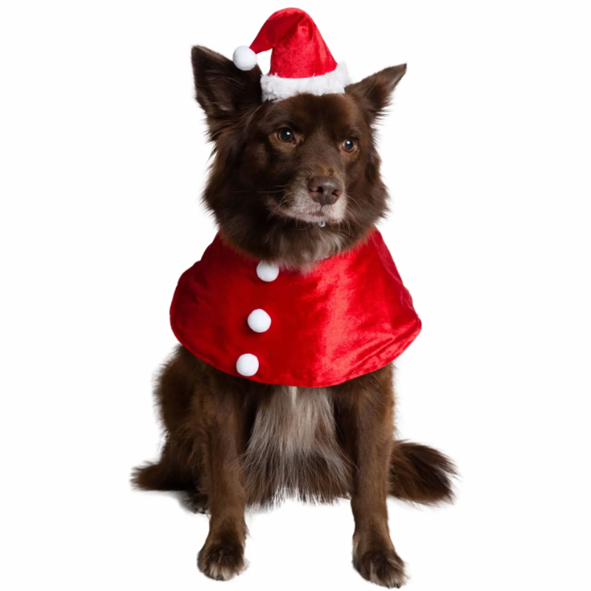 Pet Krewe Santa Hat and Collar Pet Costume