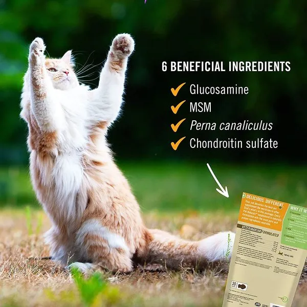 Pet Naturals Hip & Joint Supplement Chews for Cats