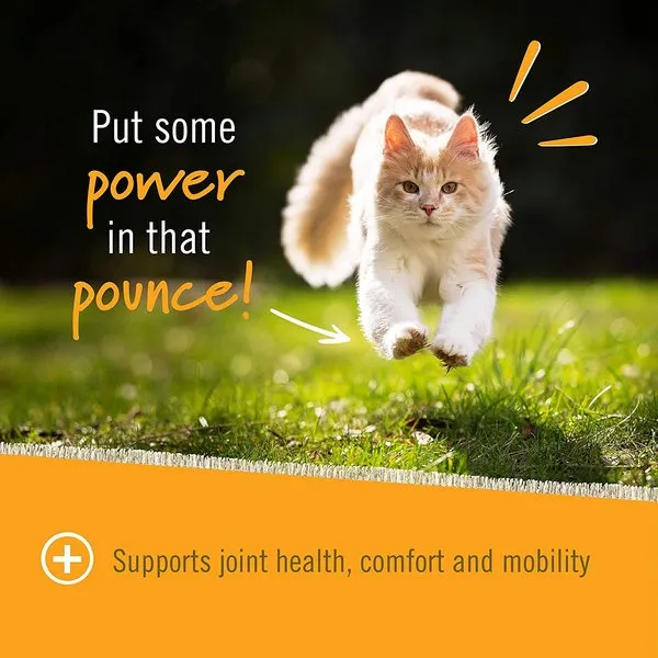 Pet Naturals Hip & Joint Supplement Chews for Cats
