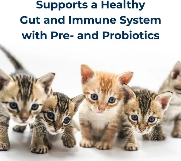 PetAg KMR Kitten Milk Replacer Powder Supplement for Cats