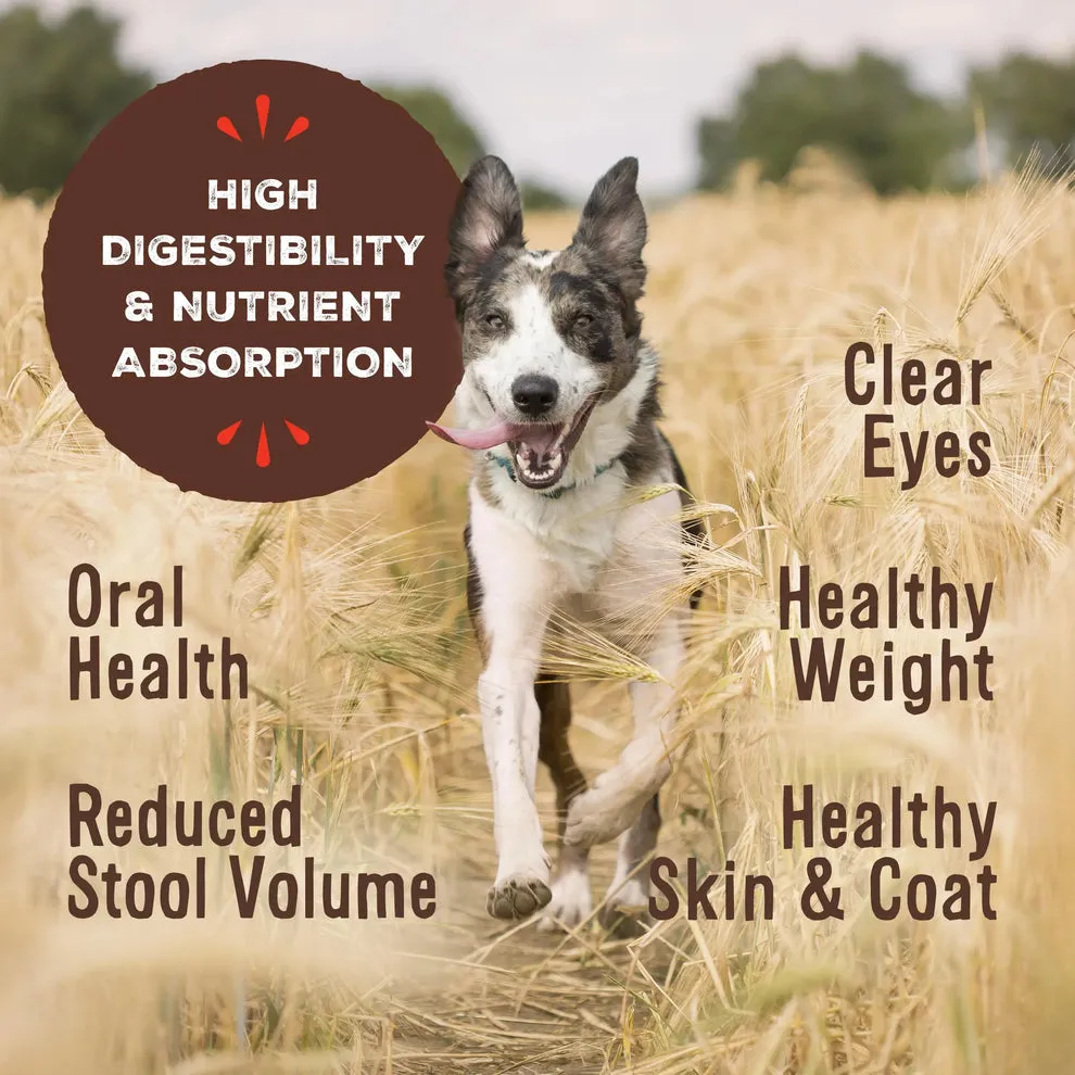 Primal Freeze Dried Nuggets Grain Free Rabbit Formula Dog Food