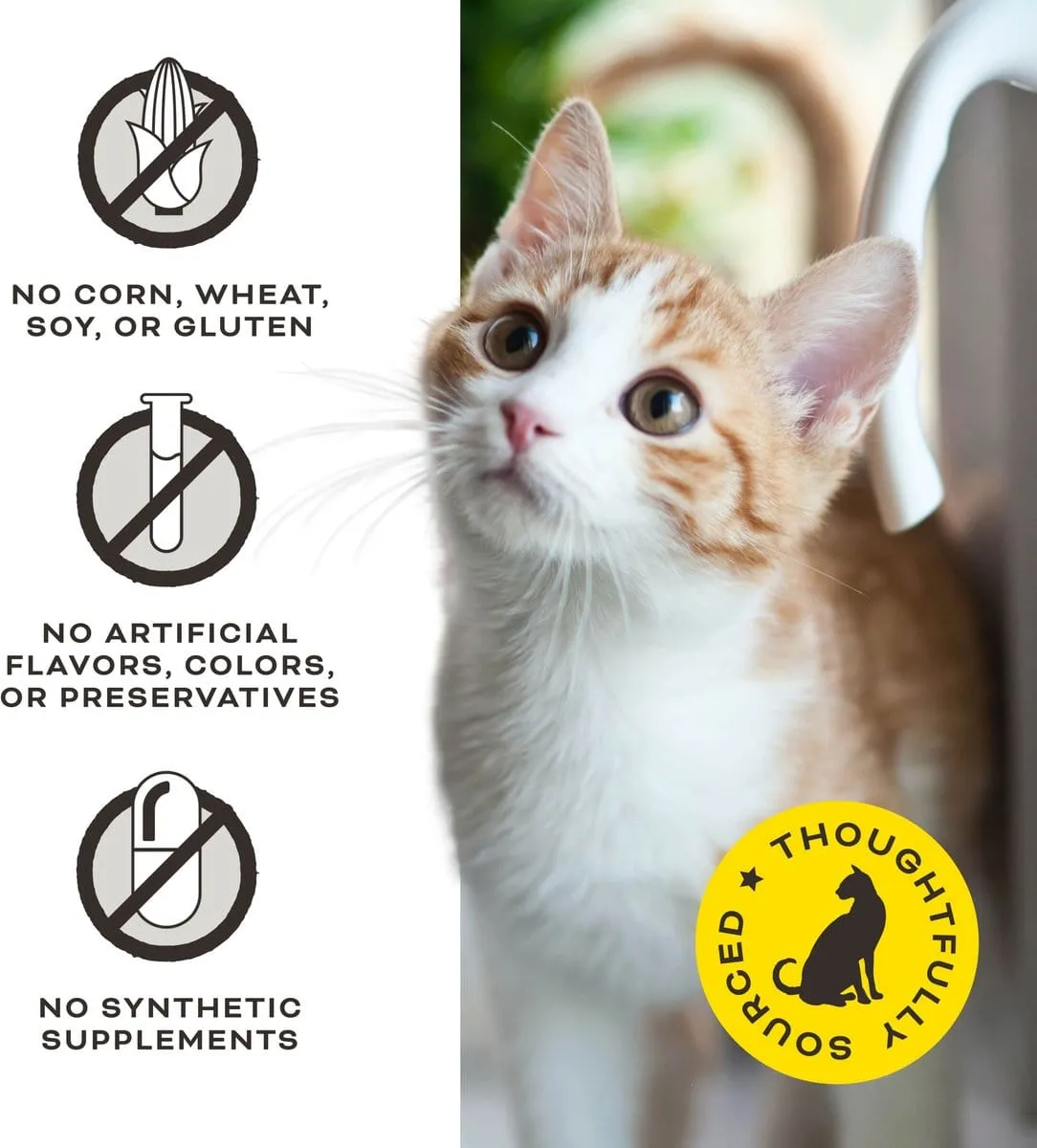 Primal Give Pieces A Chance Chicken with Broth for Cats! Recipe Treats for Cats