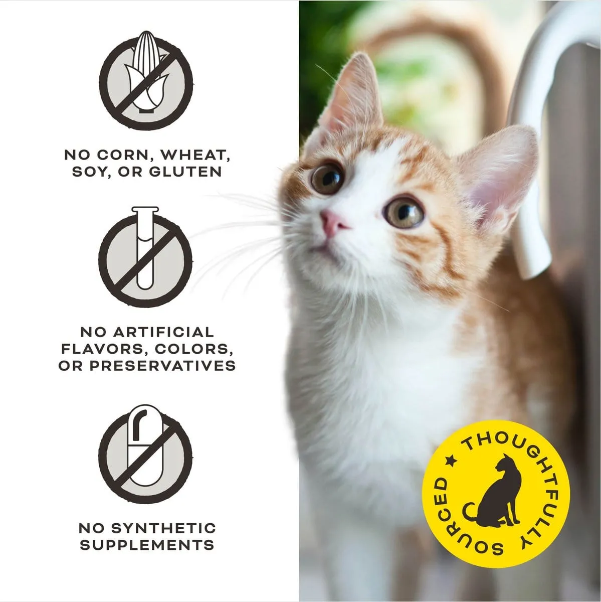 Primal The G.O.A.T. Chicken & Goat Milk for Cats! Recipe Treats for Cats