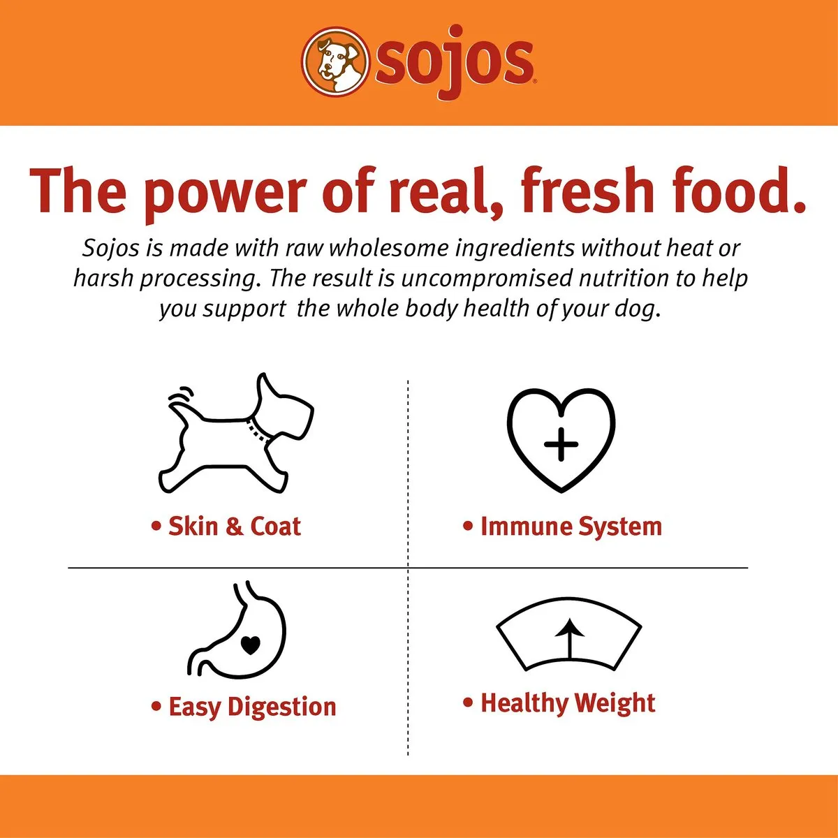 Sojos Complete Beef Recipe Adult Grain-Free Freeze-Dried Raw Dog Food
