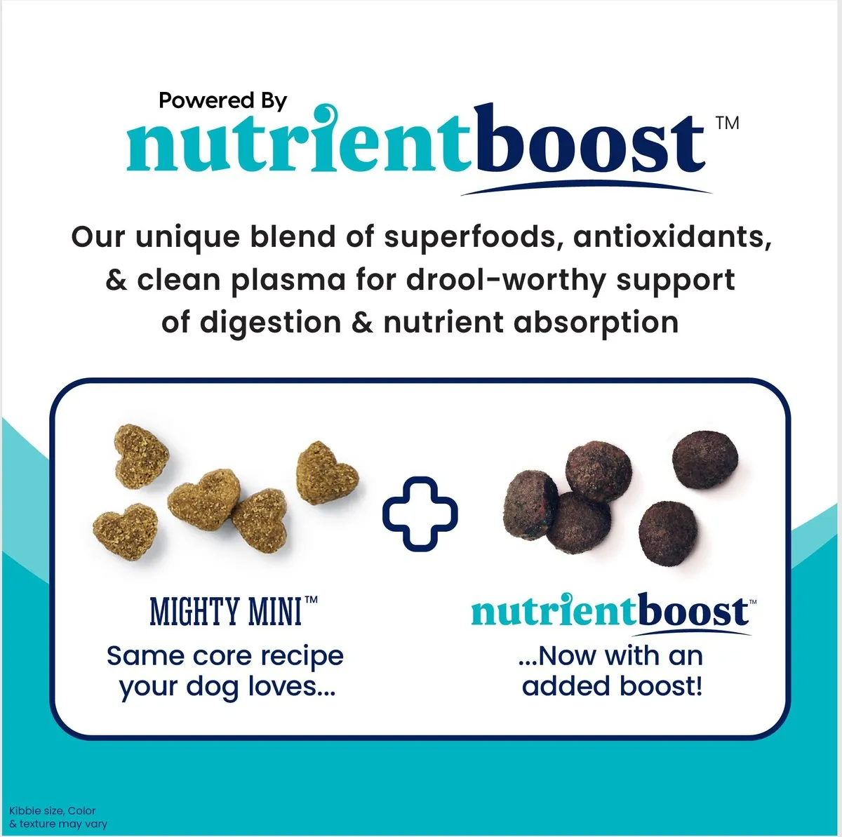 Solid Gold NutrientBoost Mighty Mini Chicken Recipe Dry Dog Food