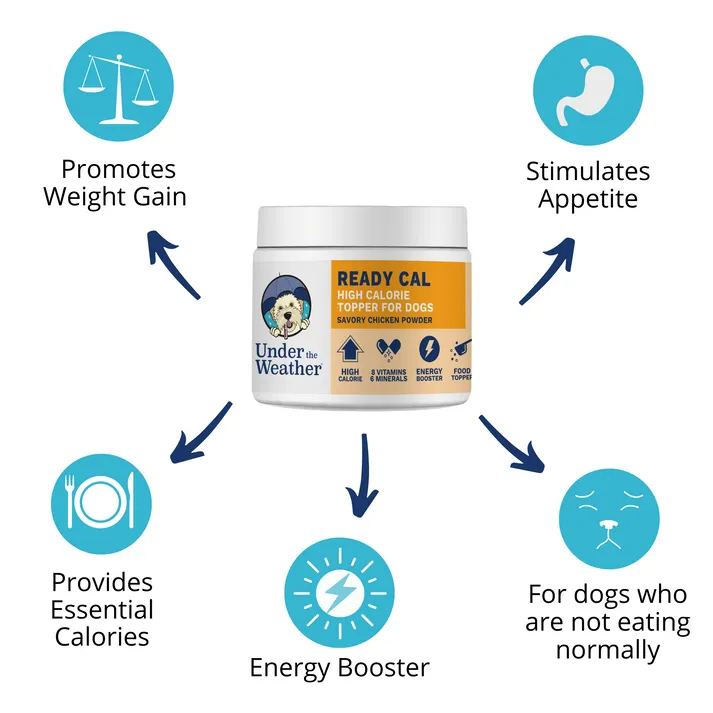 Under the Weather Ready Cal High-Calorie Powder Supplement for Dogs