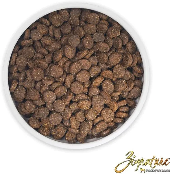 Zignature Trout & Salmon Meal Formula Dry Dog Food