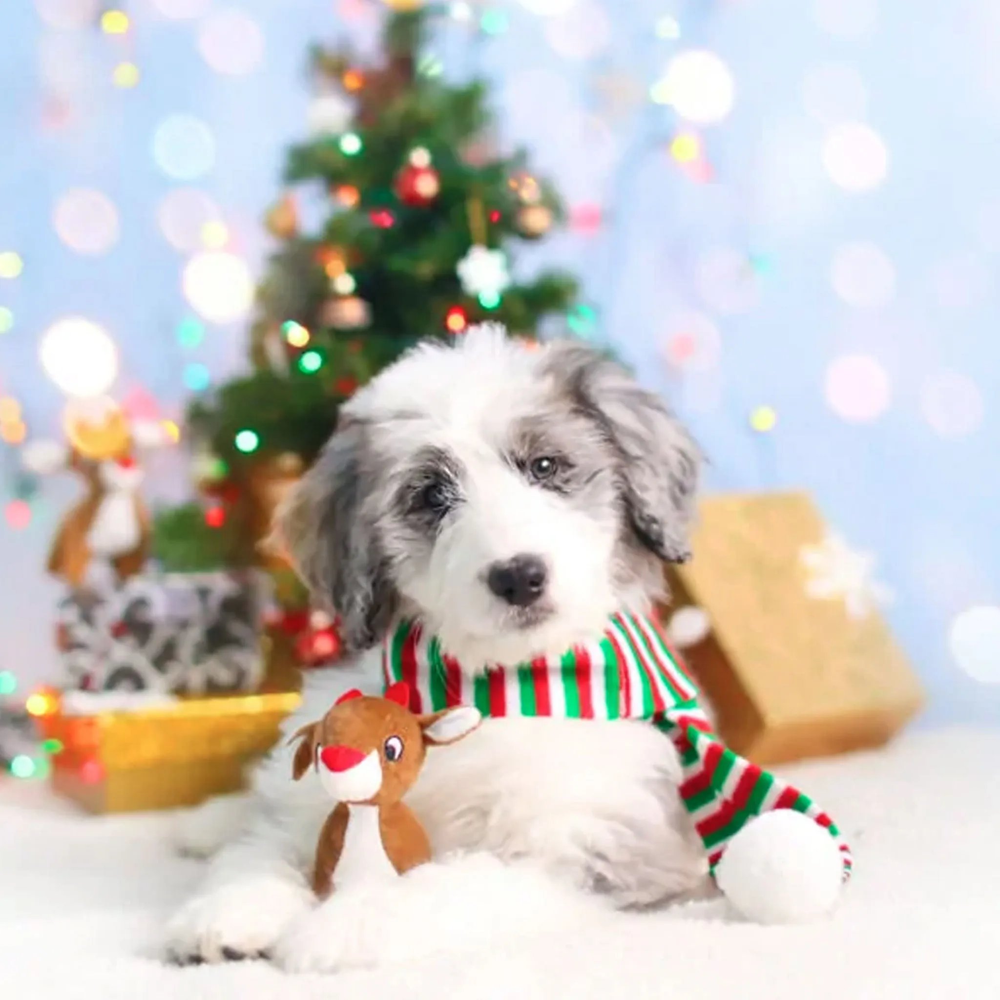 Zippy Paws Holiday Miniz Reindeer Dog Toys