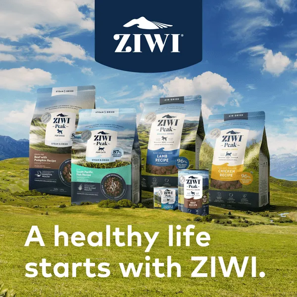 ZIWI Peak Grain Free Air-Dried Venison Recipe Dry Dog Food